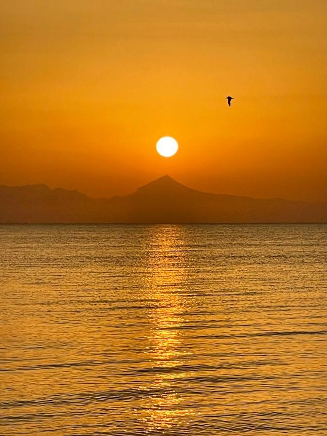 Apartmán La Urbanizacion Cerca Del Mar Denia Exteriér fotografie